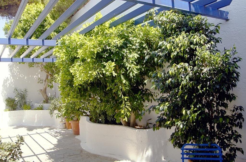Idroussa Apartment Batsi  Ngoại thất bức ảnh