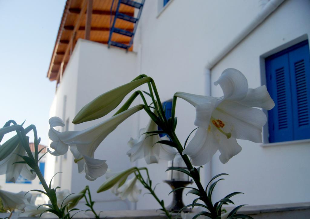 Idroussa Apartment Batsi  Ngoại thất bức ảnh
